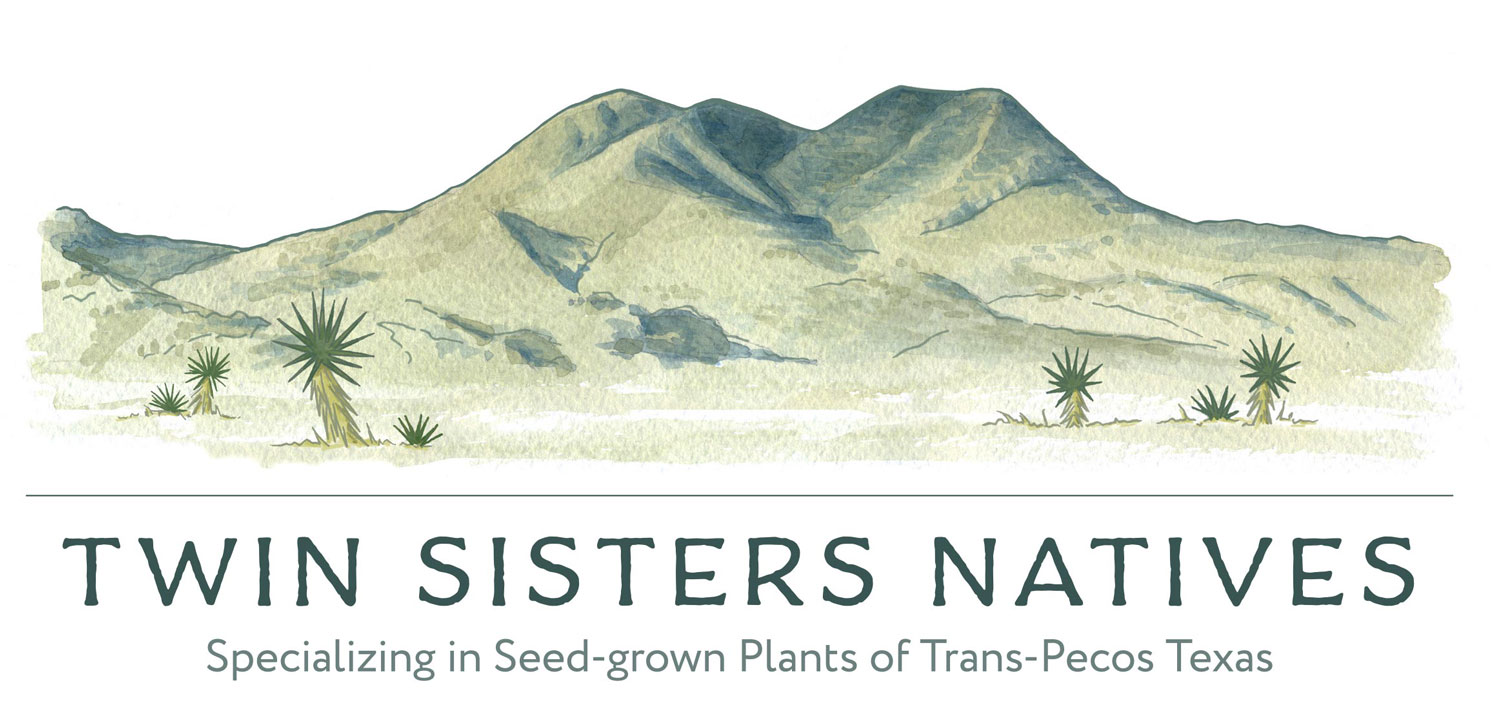 Twin Sisters Natives: Specializing in Seed-Grown Plants of Trans-Pecos Texas